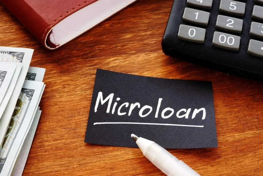 Microloans: Definition, How It Works, Risks