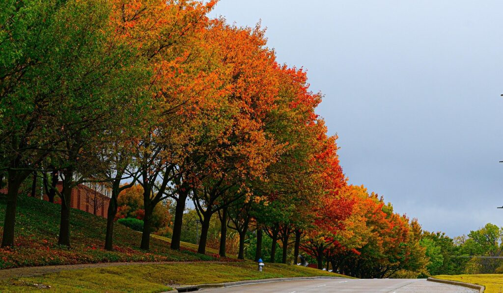 Loans in Markham, ON