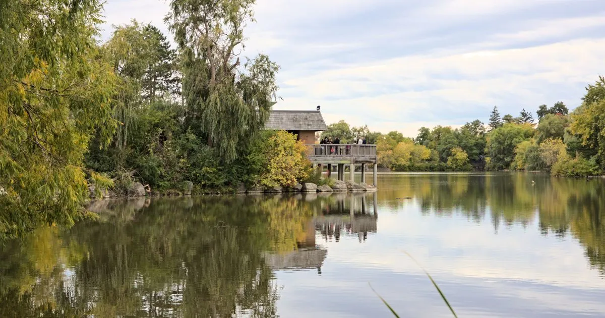 Borrowing across Markham - a city pond and parkland
