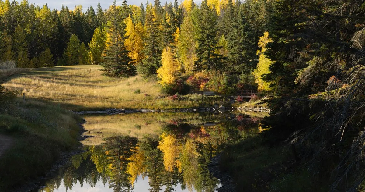 Borrowing across Red Deer - Mirror Lake in Red Deer, Alberta