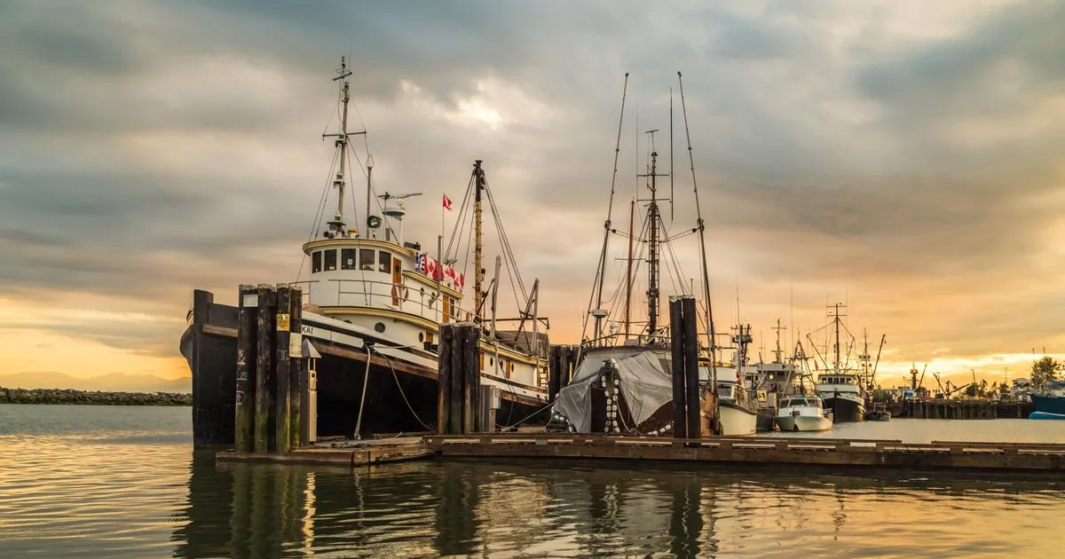 Borrowing across Richmond - fishing boats at Steveston Harbour