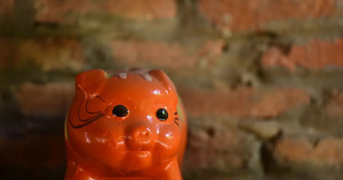 Piggy bank representing repaying a micro loan and rebuilding savings in Canada