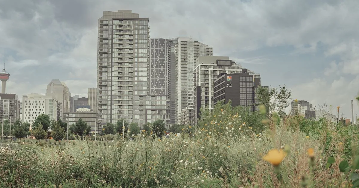 Bad credit loans Calgary - downtown Calgary skyline with the Calgary Tower from a riverside park