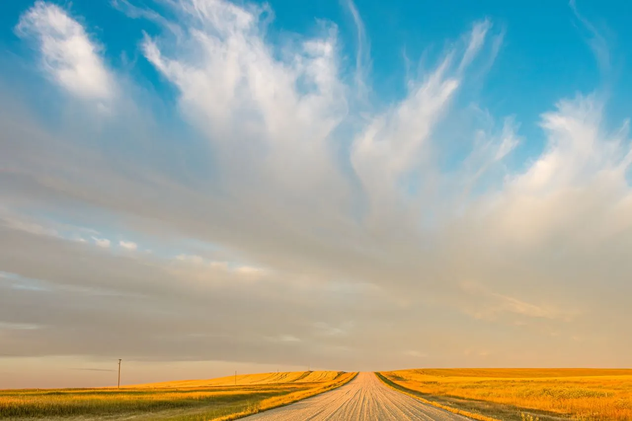 Saskatchewan prairie grid road at sunset near Regina