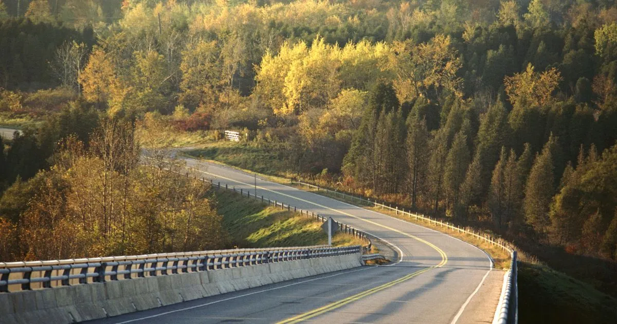 Winding road through southern Ontario forest in autumn